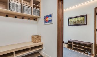 100 Park Ave, Aspen, CO 81611