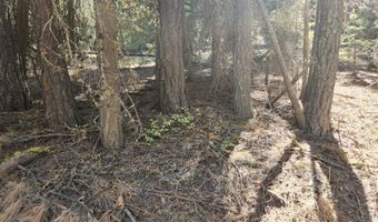 Kodiak Lane Lot 9 Block 11, Bonanza, OR 97623