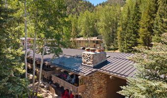 700 Ute Ave 213, Aspen, CO 81611