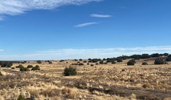 CR5139, Concho, AZ 85924