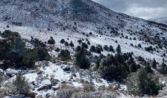 Tbd Pine nut Mountains, Minden, NV 89423