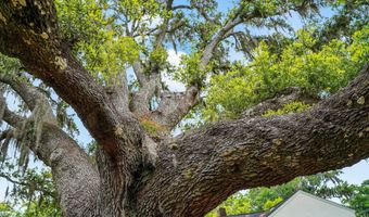 1119 Lafayette St, Beaufort, SC 29902