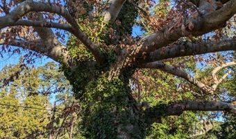 23514 FRONT St, Accomac, VA 23301