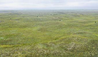755 90 +/- Acres, Arnold, NE 69120