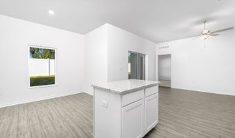 13390 Tula Loop Plan: Amalie, Astatula, FL 34705