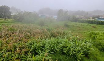 64-5296 NOEKOLO St, Kamuela, HI 96743