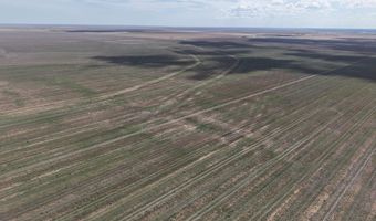 S 51 Ac. Tract 33 Pullman Road, Amarillo, TX 79118