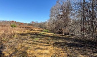 0 W Captina Highway Rd, Alledonia, OH 43902