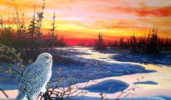 355 S WASHINGTON St, Afton, WY 83110