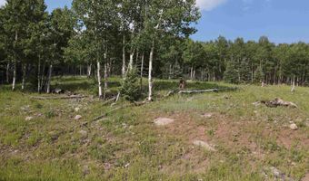 El Camino Real, Angel Fire, NM 87710