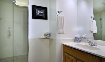 301 E Hyman Avenue Unit # 301 Wks 3 4 47 #301 (Wks 3,4,47), Aspen, CO 81611