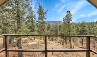 64 Elk Horn Ct, Bailey, CO 80421