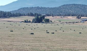 35429 McCartie Ln, Bonanza, OR 97623
