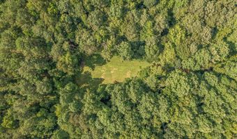 50 Acres Scenic Hwy, Attalla, AL 35954