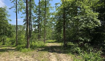 Blue Barn Road, Bloomfield, IN 47424