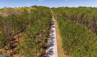 TRACT 8 Horsely Mill Road, Carrollton, GA 30116