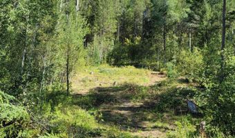 LOT 22 TRAIL RIDGE ROAD, Alpine, WY 83128