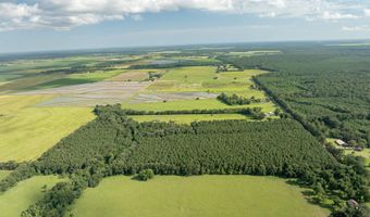 Jolene Road, Basile, LA 70515