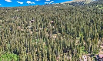 553 Nuthatch Dr Lot 18, Alma, CO 80440