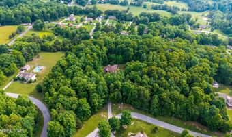 111 Stone Ridge Dr, Andersonville, TN 37705