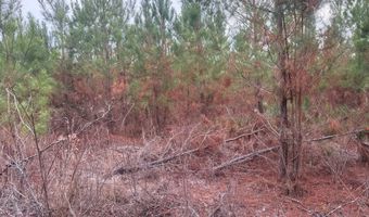 Qbf 12 Nurnberg Dr Road Qbf 12, Batesburg Leesville, SC 29070