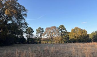 11 Acres RISER MILL ROAD Lot 11 Acres, Alpine, AL 35014