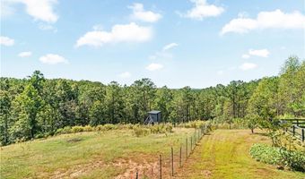 3547 Reavis Mountain Rd, Ball Ground, GA 30107