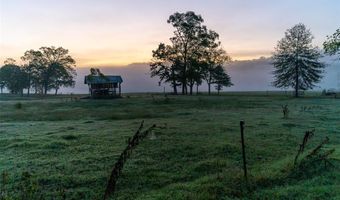 4495 County Road 405, Alton, MO 65606