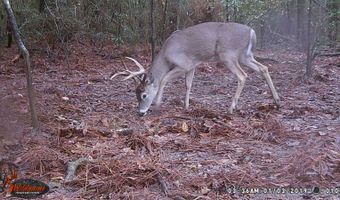 Lower Bay Road, Bay St. Louis, MS 39520