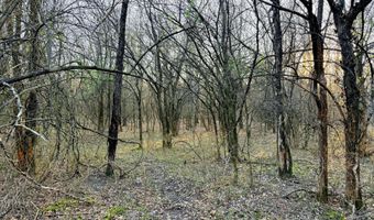 0002 CR-290, Asbury, MO 64832