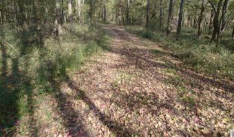 Holloway Landing Road, Barlow, KY 42024