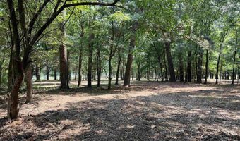 0 CR 3201 & CR 3203, De Kalb, TX 75559