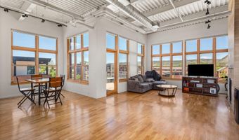 231 Robinson St 312, Basalt, CO 81621