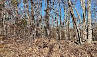 Lot 969 Iron Gate Drive, Baneberry, TN 37890