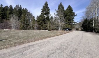 Nhn Lost Creek Rd, Anaconda, MT 59711