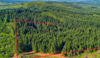 Tunnel Tract Parcel1, Banks, OR 97106
