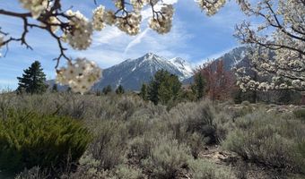 1030 Lakeside Dr, Gardnerville, NV 89460