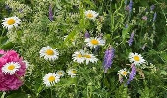 45 Freedom Rd, Belgrade, ME 04917