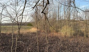 Lot 4 Mud Run Rd, Addison, NY 14801