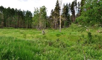 1256 Basking Dog Rd, Bellvue, CO 80512