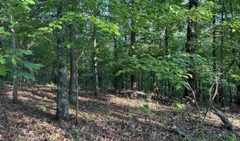 0 DAVIS ACRES Dr 72 & 73, Alpine, AL 35014