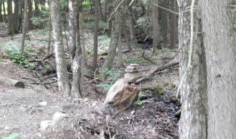 Pine Cliff Road, Alstead, NH 03602