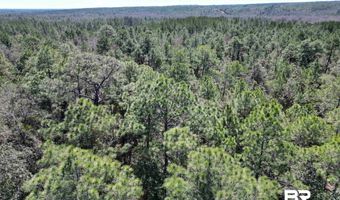 9 Robinsonville Rd, Atmore, AL 36502