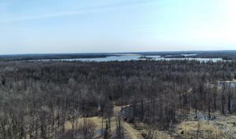 5280 Cathro Rd, Alpena, MI 49707