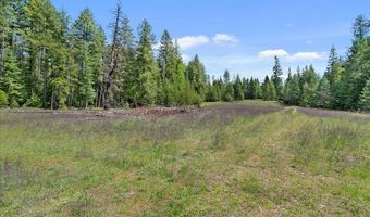 Nna Mesa Drive, Careywood, ID 83809