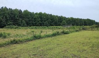 37007 PEANUT TINGLE Rd, Frankford, DE 19945