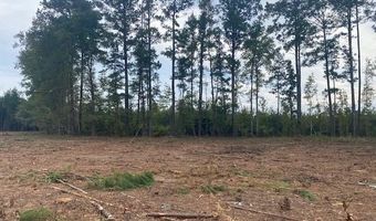 Lot 1-D Daniels Lane, Bennettsville, SC 29512