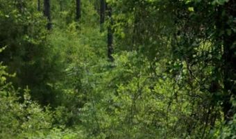 0 Byrnes Lake Rd, Bay Minette, AL 36507