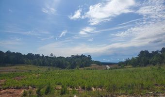 tbd Red Hill Road, Arkadelphia, AR 71923