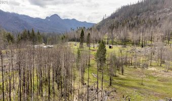 91737 BLUE RIVER RESERVOIR Rd, Blue River, OR 97413